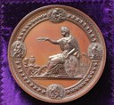 Bilde D. Medalje utdelt til Wilson for Stendaplogen_ verdensutstillingen i Philadelphia_1876.JPG