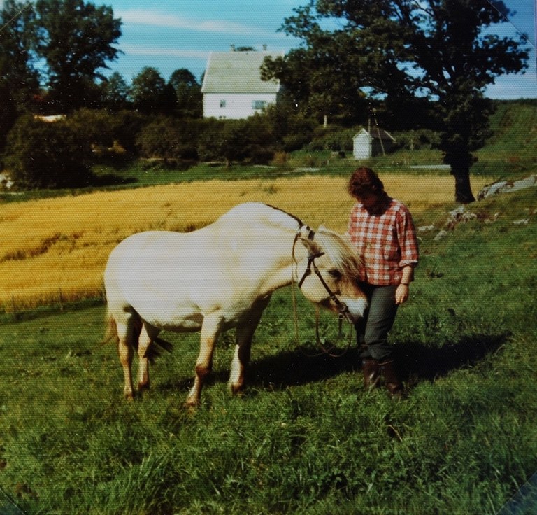 41. Stend 1975. Hesten var stort sett ute av landbruket i 1975. På Stend hadde dei dette året berre ein hest. Ei_2.jpg