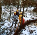 Skogsarbeid 1976. Fra venstre_ Tormod Jacobsen_ Bjørn Helge Skåle_ Gerd Åsta Kaldheim og Betty Beate Tvedt. Foto_ Marit Sæbø_Randi Lønne.jpg